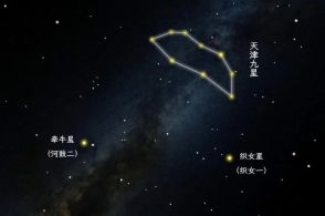 網際星辰 陸柒與他的數字宇宙漫游
